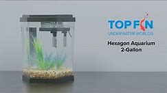 Top Fin Hexagon Fishtank 2 Gallon #Aquarium Setup | YouTube