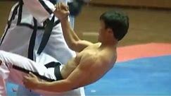 Incredible Ultimate North Korean ITF Taekwondo 태권도
