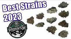 Top 10 Cannabis Strains DGC Cup 2023