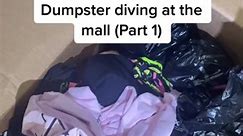 I also scored at Victoria's Secret PINK! #fyp #dumpster #dumpsterdiving #mall #spencers #glamourddive | Glamour DDive
