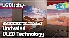 [CES 2024] LG Display’s unique OLED technology! | Vision for large-sized OLED