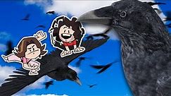 This is exactly what crows do | Bird Simulator