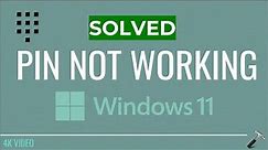 Solved: PIN not working in Windows 11