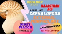 CEPHALOPODS External Morphology (SUTURE LINES) | Geology (Plaeontology) #UPSCOptional #RPSC #ACF