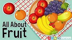 All About Fruit