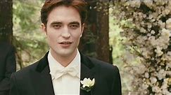 Twilight Breaking Dawn Part 1 Movie Review: Beyond The Trailer