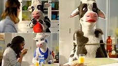 All Funny Lactose Free Lactaid Milk Cow Commercials