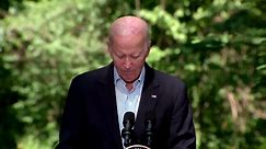 ‘Indispensable allies’ -Biden deepens ties with S.Korea, Japan