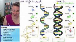 DNA Structure 5- RNA structure