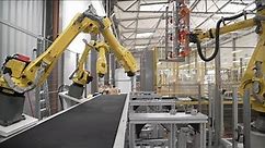 Jak produkowane są zautomatyzowane linie produkcyjne? - Fabryki w Polsce