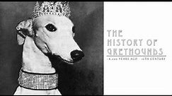 History of Greyhounds Part 1