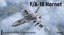 F/A-18 Hornet | w polskiej służbie. Stracona szansa