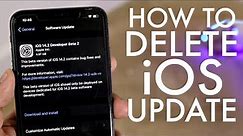 How To Delete iOS Update On iPhone!