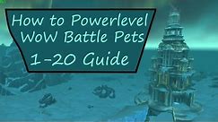 How to Powerlevel WoW Battle Pets from 1-20