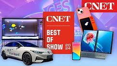 Best in Show CES 2024: The Coolest Tech