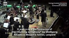 Dogs join orchestra for special performance of Mozart symphony