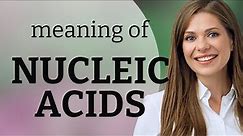 Understanding Nucleic Acids: A Guide for English Learners