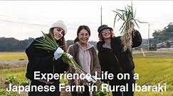 Experience Life on a Japanese Farm in Rural Ibaraki