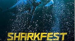 SharkFest: Season 6 Episode 5 World's Biggest Bull Shark?