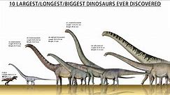Top 10 Largest Dinosaurs Ever Found Till 2022