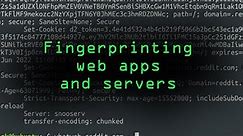 Fingerprint Web Apps & Servers for Better Recon [Tutorial]