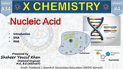 34. Nucleic Acid || Ch 4 Biochemistry || 10 new chemistry book || Sindh Board || ykSir