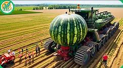 25 Modern Agriculture Machines That Are At Another Level ▶ 1