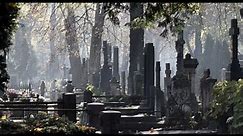 Stary Cmentarz w Łodzi to łódzkie Pere Lachaise. Leżą tu katolicy, prawosławni i ewangelicy. | FAKT