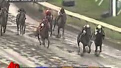 Raw Video: Names Make for Hilarious Horse Race