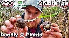 7 Day $20 Dollar Tree Survival Challenge - Day 3 - Toxic Plants