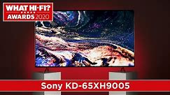 Best 65 inch TV: Sony KD-65XH9005