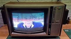 Sony Trinitron Econoquick 15" CRT TV From 1978 Demo