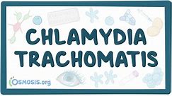 Chlamydia trachomatis: Vídeo, Anatomía & Definición | Osmosis