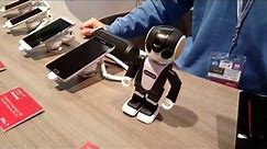 Robot Sharp RoboHon