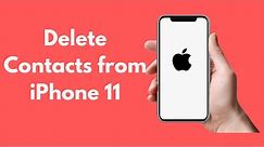 iPhone 11 : How to Delete Contacts from iPhone 11 / Pro / Pro Max