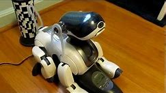 Cute and Smart Sony Robot Dog Aibo ERS-7.MP4
