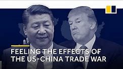 The origins and impact of the US-China trade war