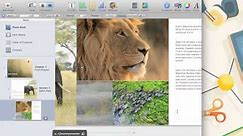 Create an Interactive Book With iBooks Author