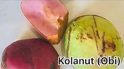 Kolanut Recipes: How to eat Nigerian Kolanut(Health benefits of Kolanut)