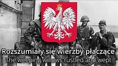 Rozszumiały się wierzby płaczące - Polish Partisan Song [Farewell Of Slavianka In Polish]
