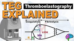 TEG Explained - Understanding the Thromboelastography