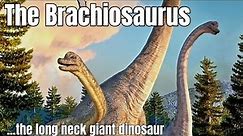 Brachiosaurus: The Giant Long Neck Dinosaur | Learn All About The Brachiosaurus