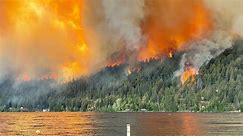 'Frequency and intensity' of wildfires is higher: Wilkinson