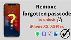 Remove forgotten passcode to unlock a disabled iPhone XS, XS Max