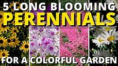 Top 5 Long Blooming Perennials for a Colorful Garden | Garden Answer 🍃