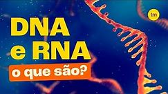 DNA e RNA | Quais são as DIFERENÇAS?