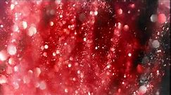 Red Particles Motion Backgrounds