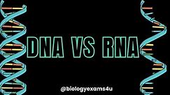 5 Major Differences between DNA and RNA | DNA vs RNA