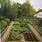 1 Acre Vegetable Garden