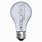100 Watt Light Bulb
